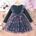 thumbnail image 5 of YTDSCS Baby Kids Spring Fall Dresses for Girls，18M-6Y Newborn Long Sleeve Dresses Floral Dresses Toddler Printing Pullover Princess Dresses Mesh Dress Skirt, 5 of 8