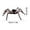 OR, variant on AYktou Halloween Decorations,Halloween Party Favors,Halloween Party Decorations Halloween Party Venue Layout Props Spider Decoration Spider Decoration Spider Trinket