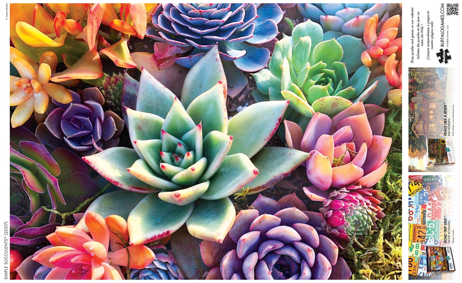 Buffalo Games 300-Large Pieces Simple Succulents Interlocking Jigsaw Puzzle