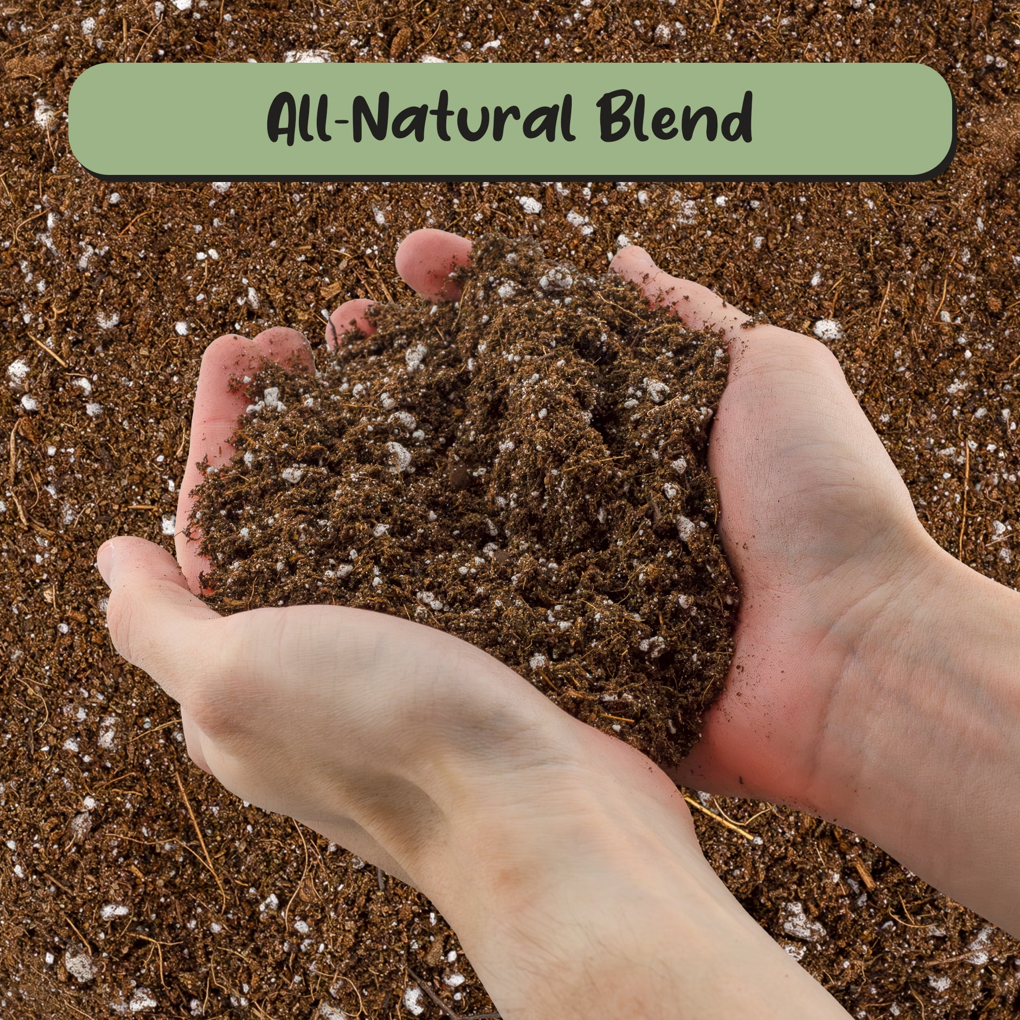 Desert Rose Potting Soil Mix (8 Quarts), Hand Blended Small Batch Soil Blend for Desert Rose Plant