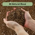 thumbnail image 3 of Desert Rose Potting Soil Mix (8 Quarts), Hand Blended Small Batch Soil Blend for Desert Rose Plant, 3 of 10
