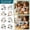 A004- Style D, variant on Sea Glass Art Diy Kit for Adults | Coastal Wall Decor for Home | Craft Supplies for Beginners | Great Birthday Gift | Complete Sea Glass Decor Mosaic Art Set