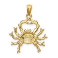 thumbnail image 4 of 14k Yellow Gold Polished Texture Finish Large Size3-D Cancer Zodiac Charm Pendant, 4 of 4