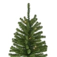 thumbnail image 4 of Northlight Pre-Lit Slim Alpine Artificial Christmas Tree - 6' - Clear Lights, 4 of 7