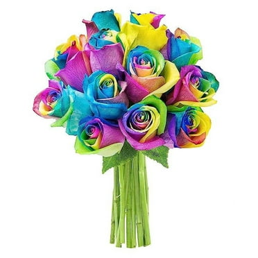 KaBloom : Pride Collection - Bouquet of 12 Long-Stemmed Rainbow Rose (Farm Fresh-Long stems).Gift for Birthday, Get Well, Easter, Valentine, Mother’s Day Fresh Flowers