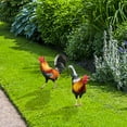 thumbnail image 7 of TERGAYEE Acrylic Yard Chicken Decorations,Rooster Decor Garden Statue Acrylic Chicken Yard Art Sculpture Outdoor Figurines,for Backyard,Lawn,Pathway,Garden, 7 of 7