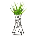 thumbnail image 1 of Tabletop Metal Air Plant Holders Stands Plant Containers Flower Racks;Tabletop Metal Air Plant Holders Stands Plant Containers Flower Racks,Black,15CM, 1 of 5