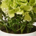 thumbnail image 3 of 9" Potted Hydrangea & Rose Flowers, 3 of 4