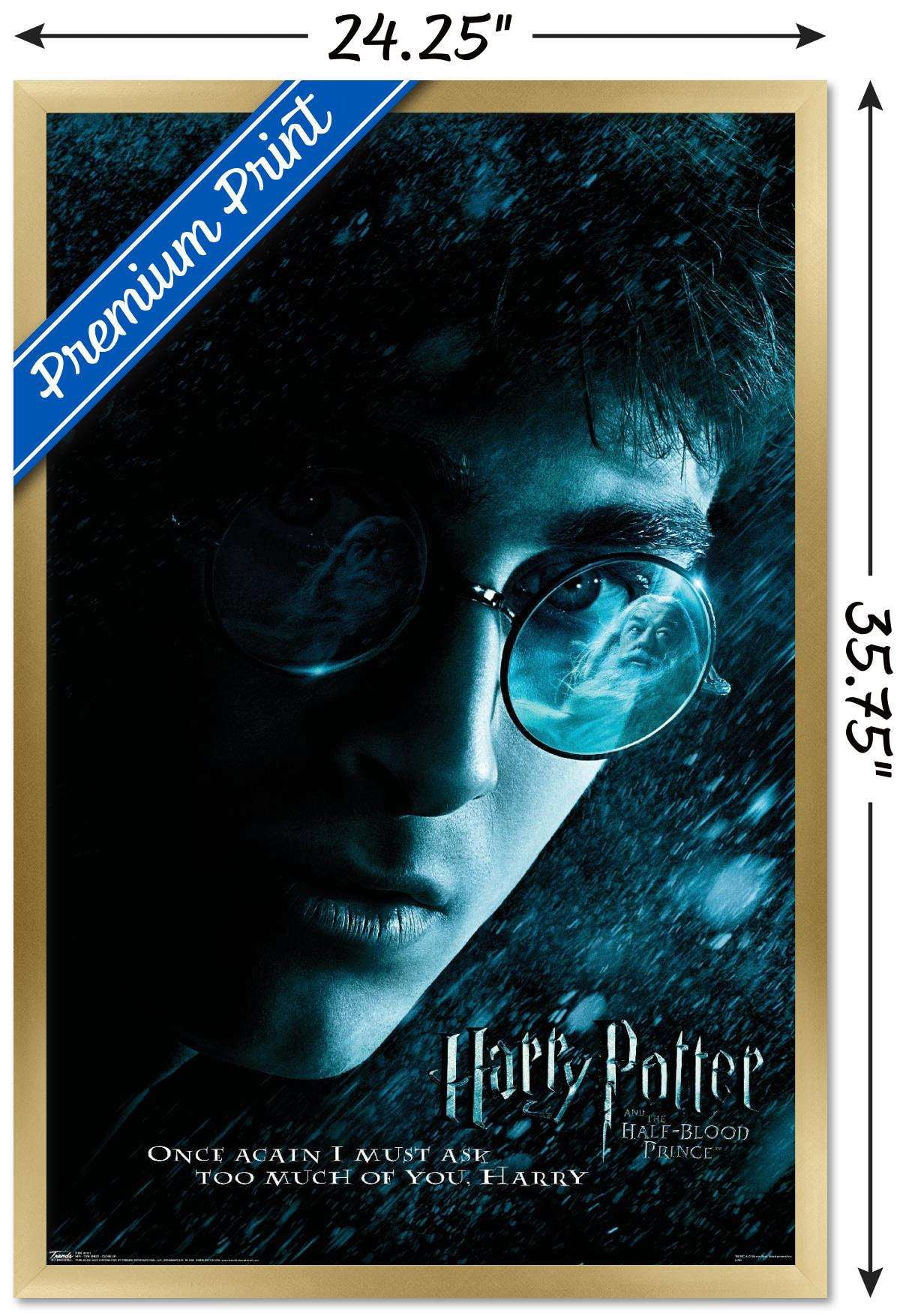 Harry Potter and the Half-Blood Prince - Harry Close-up One Sheet Wall Poster, 22.375" x 34", Framed
