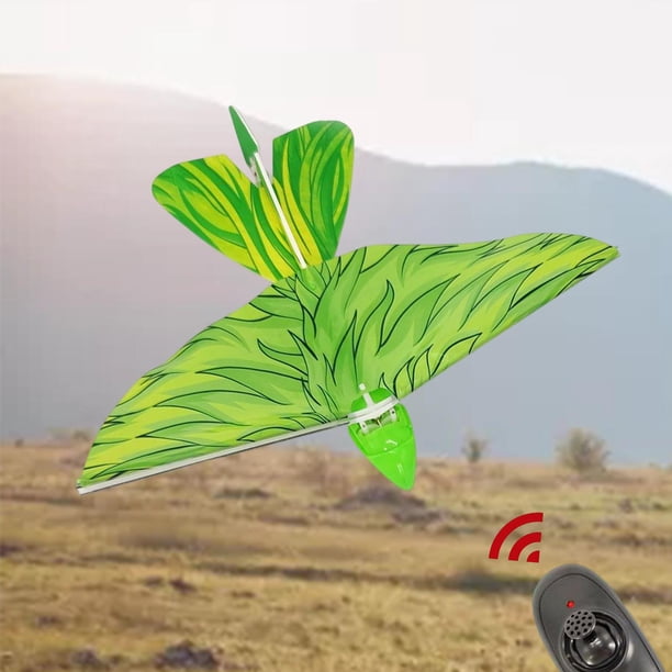 Retención de altitud de avión eléctrico de pájaro volador con control remoto para principiantes Baoblaze rc pájaro juguetes