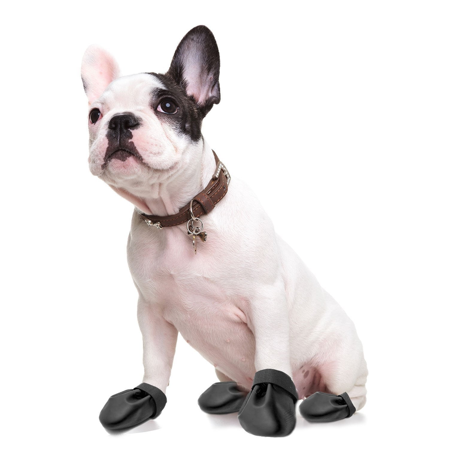 boots pet prescriptions