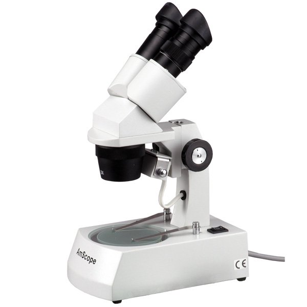 AmScope 20X40X80X Dissecting Stereo Microscope for Students and