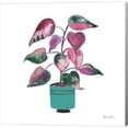thumbnail image 1 of Great Art Now Potted Jewels II Aqua by Farida Zaman, Canvas Wall Art, 12W x 12H, 1 of 2