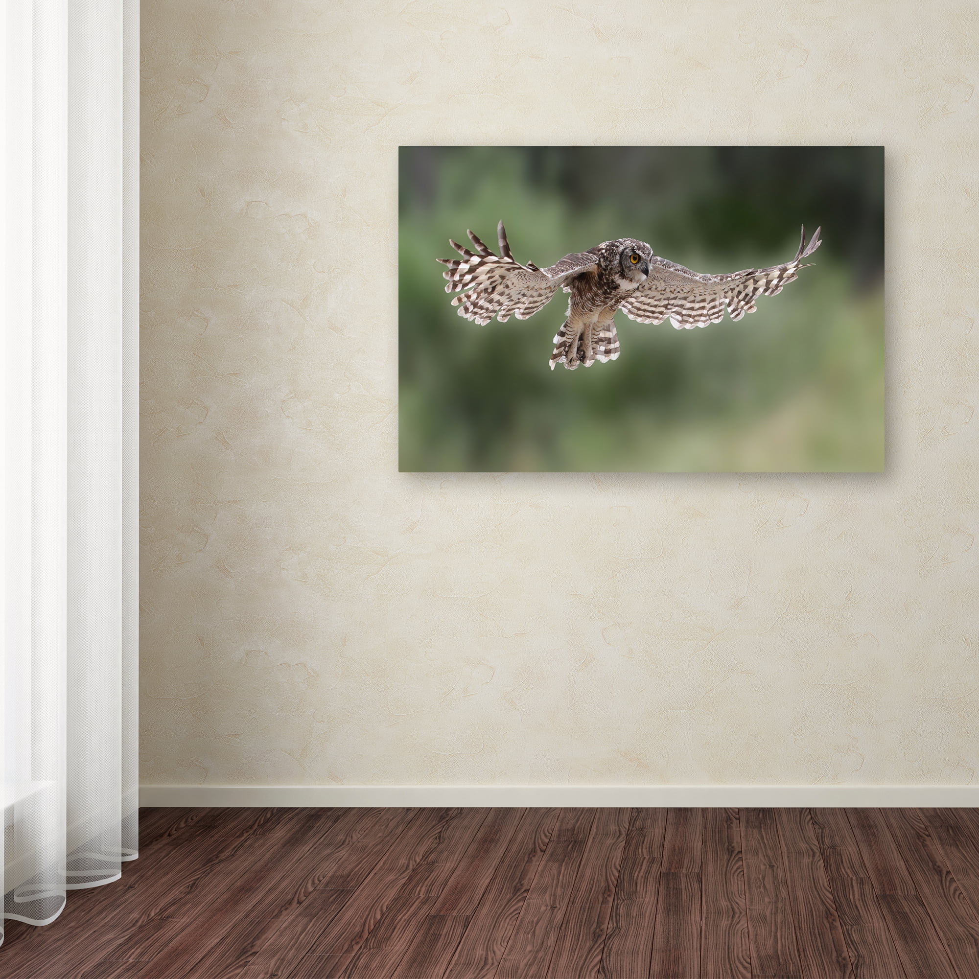 Trademark Fine Art 'Owl' Canvas Art by Andre Marais