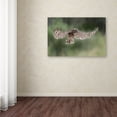 thumbnail image 3 of Trademark Fine Art 'Owl' Canvas Art by Andre Marais, 3 of 3