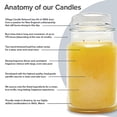thumbnail image 4 of Village Candle Bougie Parfumée en Verre Moyen Sapin, (16 oz), Vert, 4 of 4
