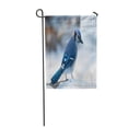 thumbnail image 1 of KDAGR Blue Jay Corvidae Cyanocitta Cristata Passerine Bird on Snow Garden Flag Decorative Flag House Banner 28x40 inch, 1 of 1