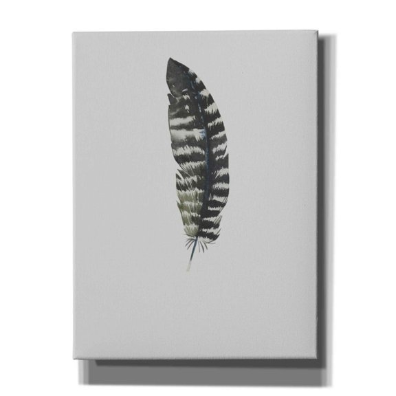 Epic Graffiti 'Feather 5' by Incado, Giclee Canvas Wall Art, 12"x16"