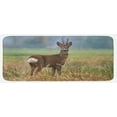 thumbnail image 1 of Hunting Kitchen Mat, Roe Deer Male Capreolus Western European Wildlife Fauna Flora Meadow Field Grass, Plush Decorative Kitchen Mat with Non Slip Backing, 47" X 19", Multicolor, by Ambesonne, 1 of 1
