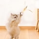 thumbnail image 5 of Juguete para gatos, pelota interactiva que rebota para gatos de interior y exterior, juguetes activos para gatos, pelotas para gatos, juguetes interactivos para gatos, juguetes portátiles, 5 of 8