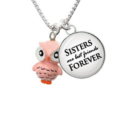 Resin Pink Snow Owl Sisters are Best Friends Forever Glass Dome Necklace,