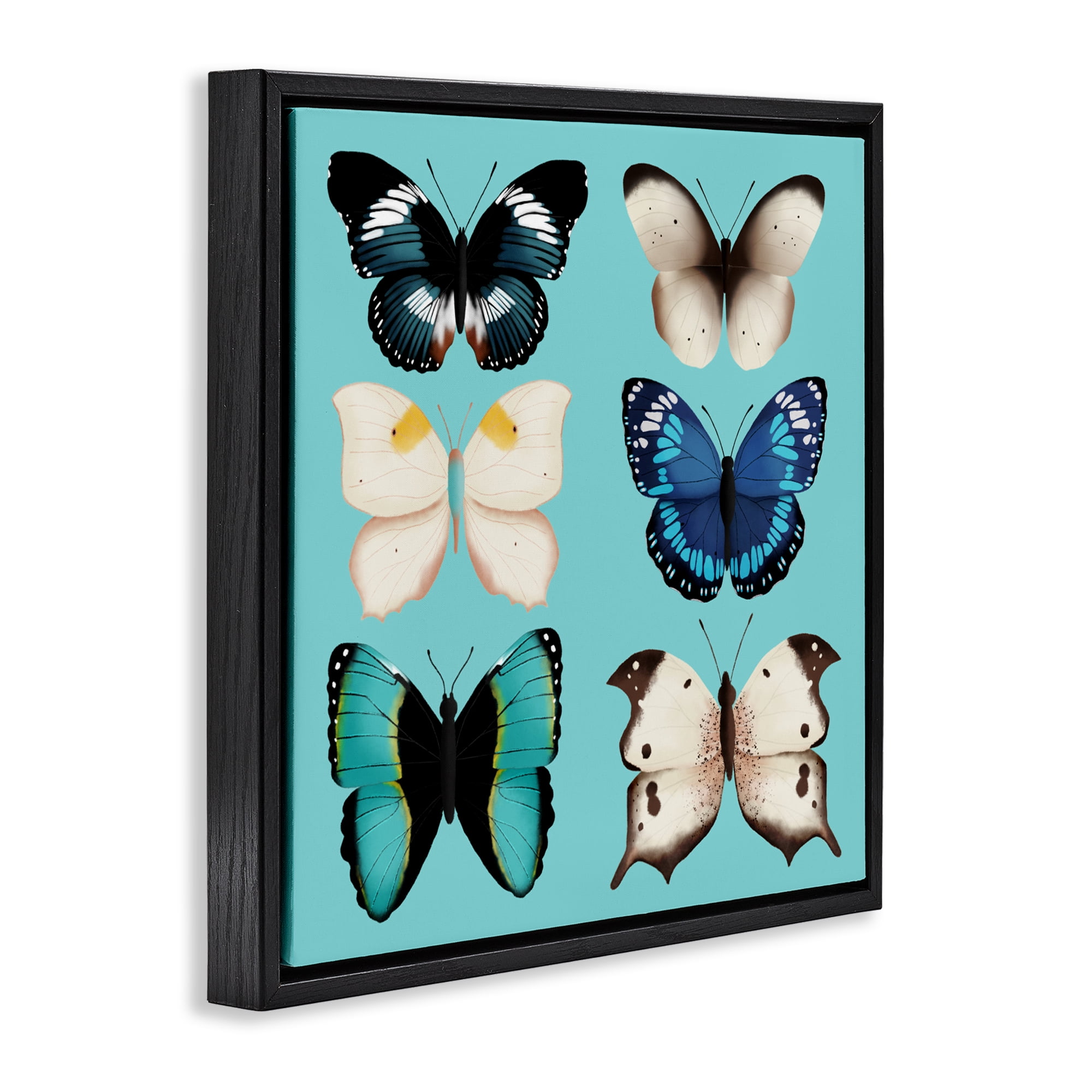 Stupell Industries Six Diverse Butterflies on Turquoise Black Framed Floater Canvas Wall Art, design by Metka Hiti