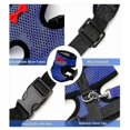 thumbnail image 2 of Chicken Harness with Leash Adjustable Chicken Leash for Hens Duck, 2 of 5