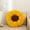 B, variant on Flower Cushion Living Room Office Tatami Sun Flower Butt Cushion Cushion Pillow And Backrest
