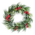thumbnail image 1 of 14 Dia. x 4 in. Frosted Pine Berries Wreath, 1 of 1