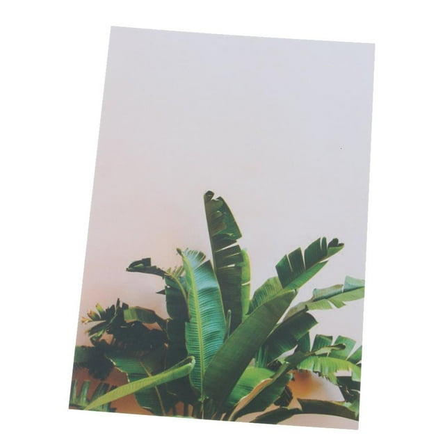 funtasica Compact Photo Backdrop Leaf Card For Photography , as described Plantain Leaf