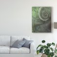 thumbnail image 3 of Trademark Fine Art 'Surround II' Canvas Art by James Burghardt, 3 of 4