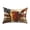 Beers and American Flag, variant on Dailycode Satin Pillow Case Standard Silk Pillow Cover for Hair and Skin Envelope Closure American Flag Eagle Clouds 20"x26"