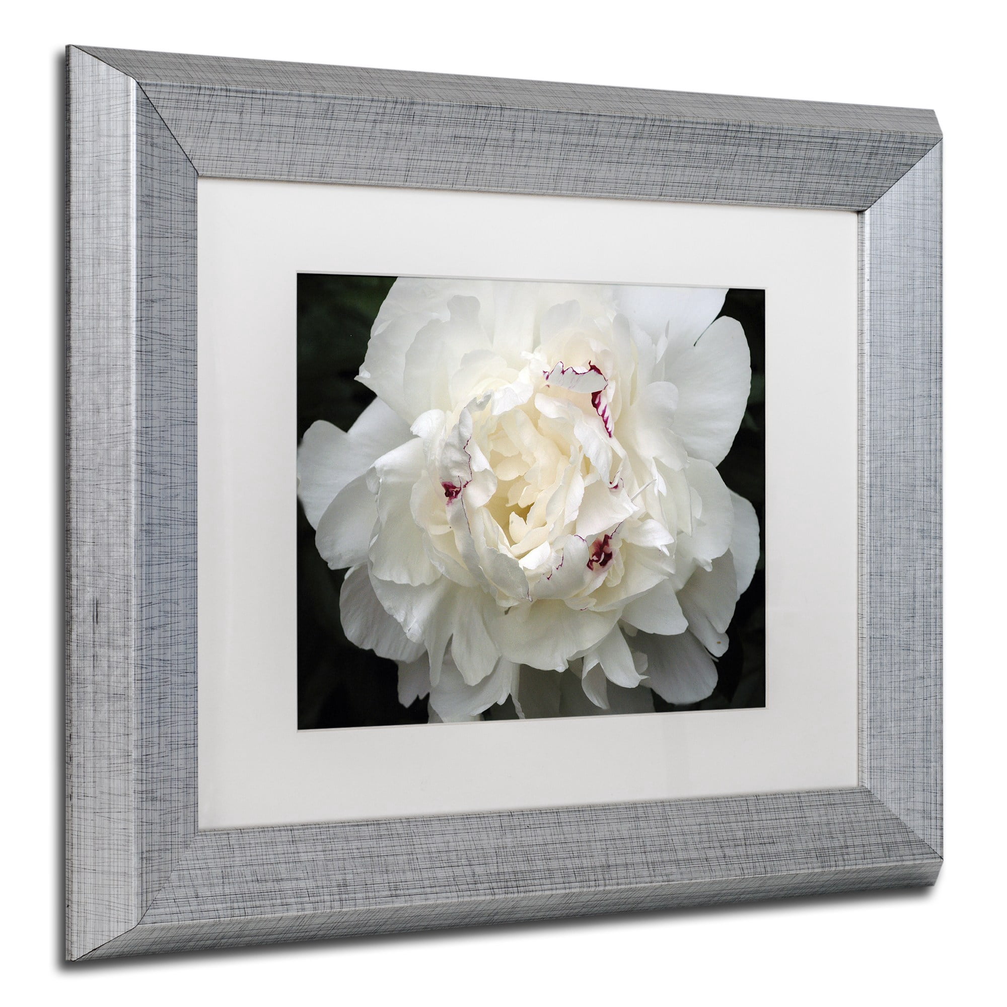 Trademark Fine Art "Perfect Peony" Canvas Art by Kurt Shaffer White Matte, Silver Frame