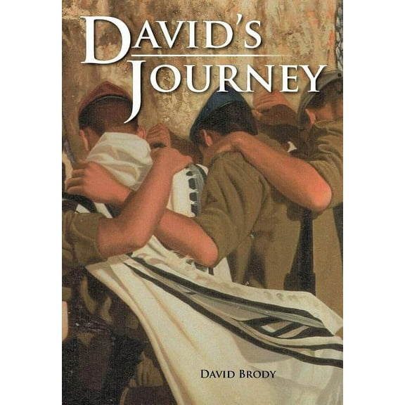 David's Journey (Hardcover)