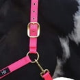 thumbnail image 2 of Hy Deluxe Padded Head Collar, 2 of 4