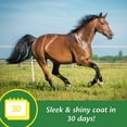 thumbnail image 2 of Farnam Super 14 Healthy Skin & Coat Supplement for Horses, Keeps coats shiny & gleaming year-round 2.75 Pound, 44 Day Supply, 2 of 10