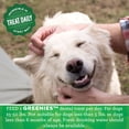 thumbnail image 3 of Dental Chews Regular - Dog Treat, 3 of 5