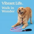 thumbnail image 4 of Vibrant Life 6' Padded Handle Reflective Rope Leash, Pink and White, M/L, 4 of 9