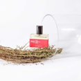 thumbnail image 4 of BON PARFUMEUR 301 BON PARFUMEUR 301 de Bon Parfumeur, EAU DE PARFUM SPRAY 3.3 OZ, 4 of 7