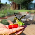 thumbnail image 2 of Alimentador de colibrí de mano, 4 unidades de mini alimentador de colibrí de mano con 4 cepillos de limpieza, comederos para suministros al aire libre, 2 of 5