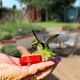 thumbnail image 2 of Alimentador de colibrí de mano, 4 unidades de mini alimentador de colibrí de mano con 4 cepillos de limpieza, comederos para suministros al aire libre, 2 of 5