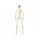 thumbnail image 2 of Uxgjfwu Halloween Skeleton Decor 35 Inch Light Up Poseable Full Body Realistic Glowing Bones for Indoor Outdoor Yard Haunted House Party Decoration, 2 of 7