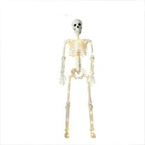 DefiDgd 35inch Halloween Movable Skeleton Decorations, Simulation Human Skeleton Decorations for Halloween Party Decor, Haunted House Props Indoor Outdoor Decoration(large)
