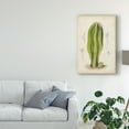 thumbnail image 3 of Trademark Fine Art 'Antique Cactus VI' Canvas Art by Curtis, 3 of 4