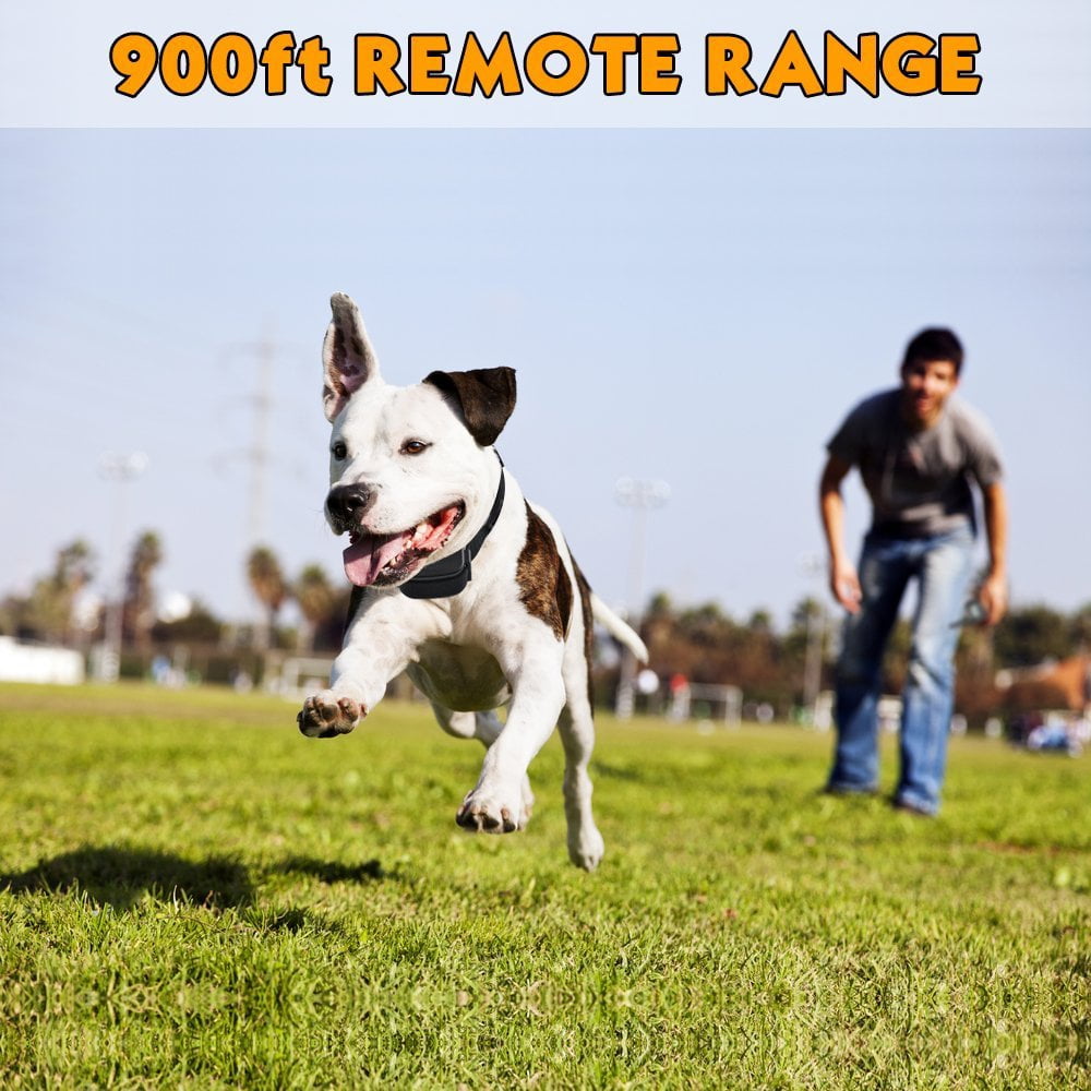 Greswe Puss And Pooch Dog Training Collar Dog Remote Training Collar 300 Meter Range Static Shock Collar W Vibration Beep Option
