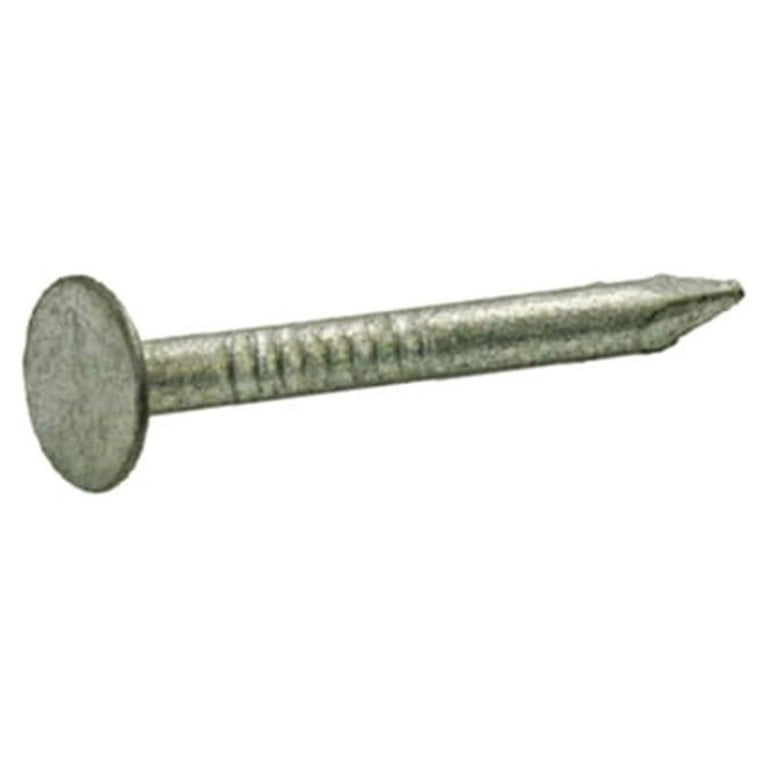 Grip-Rite 20D 4 in. Common Hot-Dipped Galvanized Steel Nail Flat Head 5 lb Grip-Rite 20D 4 in. Common Hot-Dipped Galvanized Steel Nail Flat Head 5 lb