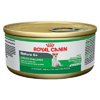 Royal Canin Small Breed Senior Wet Dog Food, 5.8 oz (Case of 24)