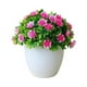 thumbnail image 5 of Plantas Artificiales Falsas Soledad 4x Macetas Decorativas para Jardín, 5 of 7