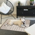 thumbnail image 5 of 2025 New Dog Cooling Mat, Washable Portable Pet Coolings Pad for Dogs & Cats Sleeping Mat for Home & Outdoor, Keep Cooling for Pets (Blue, 19.7" L * 15.7" W), 5 of 6