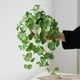 thumbnail image 2 of Plantas falsas Plantas colgantes artificiales Plantas de eucalipto falsas en macetas Paquete de 2 enredaderas verdes en maceta simple para decoración interior y exterior del hogar, 2 of 5